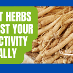 10 Best Herbs To Boost Your Productivity Naturally