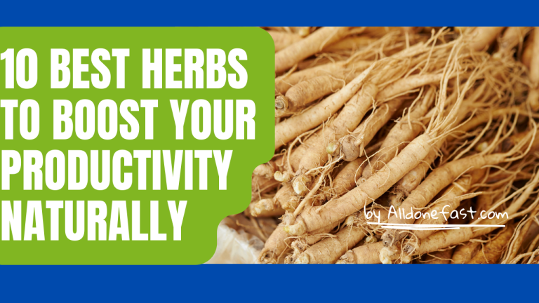 10 Best Herbs To Boost Your Productivity Naturally